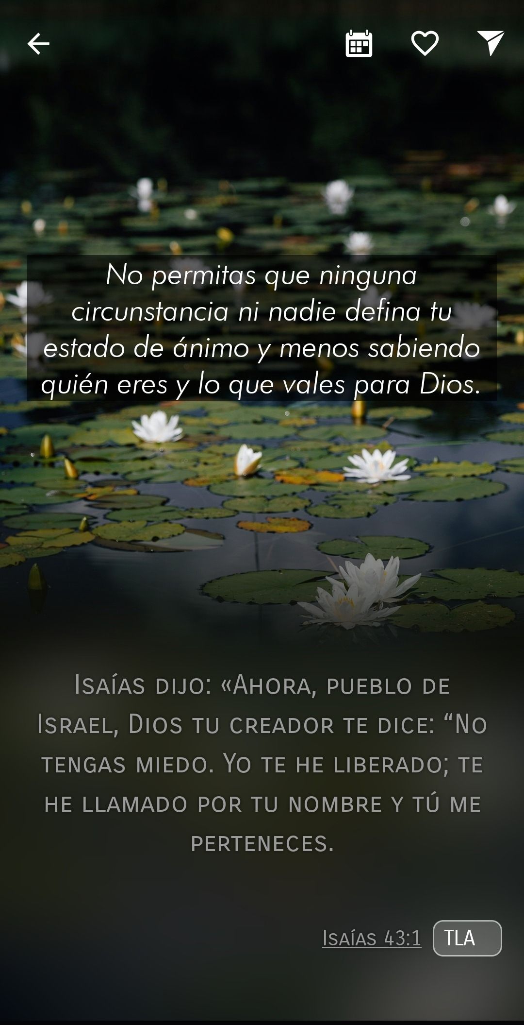 Verse of the day over a photo of flowers on the water